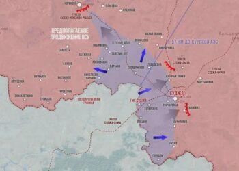 Царёв и Рыбарь раскритиковали игнор командования Курского направления