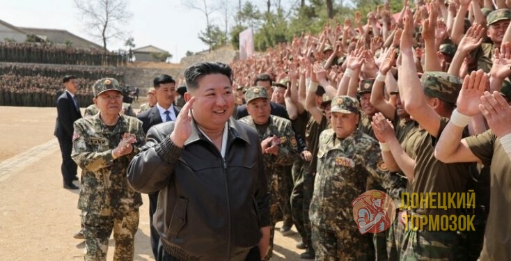 КНДР официально заявила об участии своих войск в освобождении Курской области