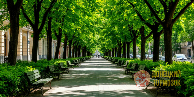 Вместо ЖД-рынка в Донецке может появиться сквер