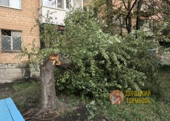 Трагедия в Донецке: ураган с корнем вырвал деревья, погиб ребёнок